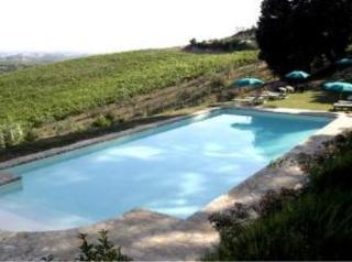Agriturismo Bio Fattoria Bacio Черталдо Екстериор снимка